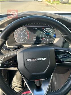 دونج فينج فينوسيا